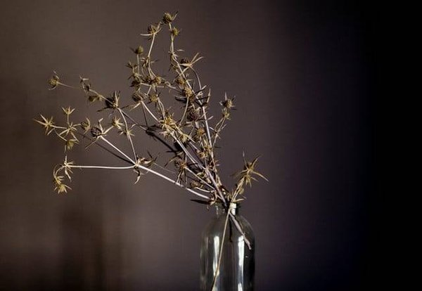 L'Art Floral Japonais: Histoire, Signification et Influence